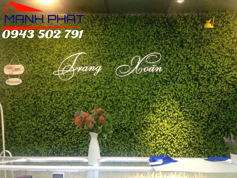trang trí spa bằng cỏ nhựa treo tường tại Hà Nội